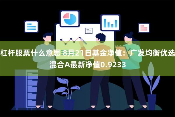 杠杆股票什么意思 8月21日基金净值：广发均衡优选混合A最新