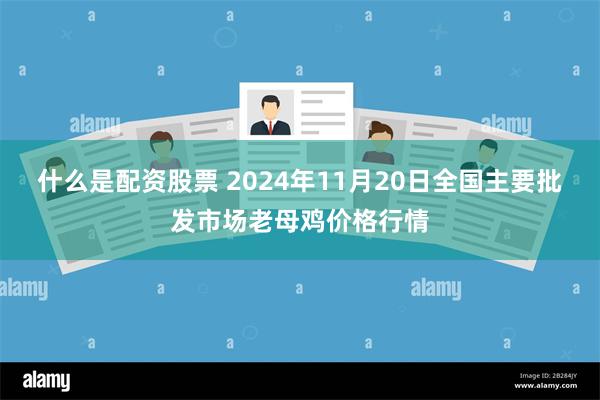 什么是配资股票 2024年11月20日全国主要批发市场老母鸡