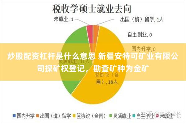 炒股配资杠杆是什么意思 新疆安特可矿业有限公司探矿权登记，勘查矿种为金矿