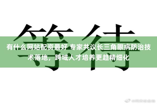 有什么网站配资最好 专家共议长三角眼病防治技术落地，跨域人才培养更趋精细化