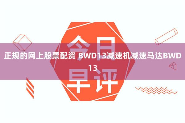 正规的网上股票配资 BWD13减速机减速马达BWD13